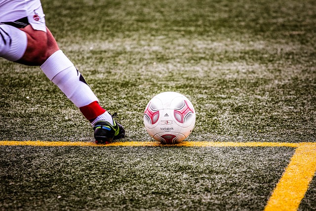 球迷们无法 球迷们无法