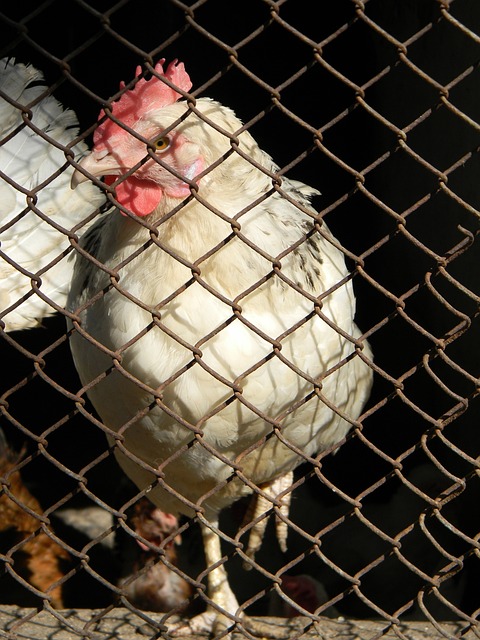 但长期来看 但长期来看