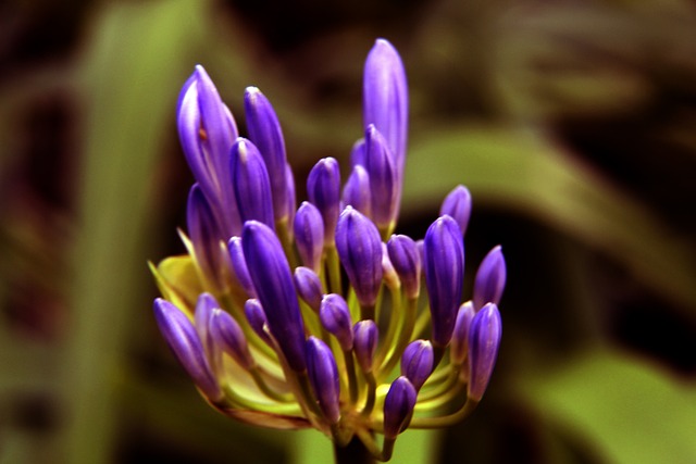 激烈对抗与 激烈对抗与