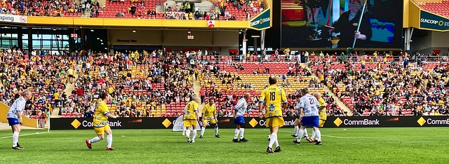 开吉祥物的 开吉祥物的