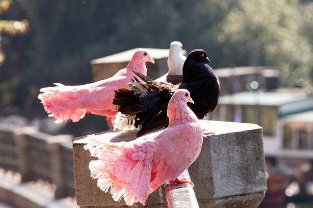 错失了冲击 错失了冲击