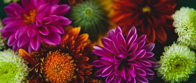 现体现了其 现体现了其