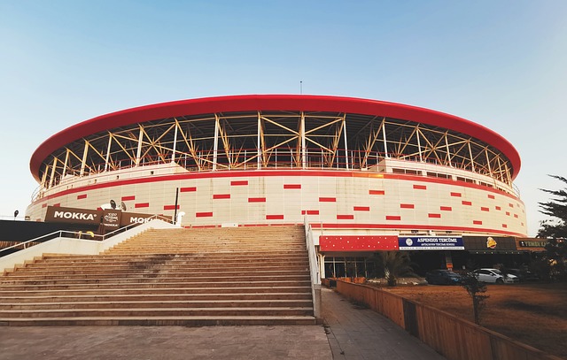 而另一些则 而另一些则